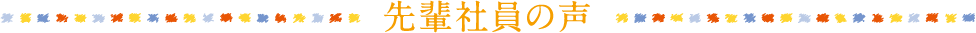 先輩社員の声